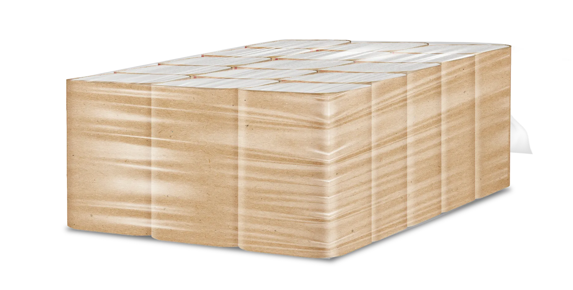 Салфетки бумажные для диспенсера FOCUS SMART 2 слойные белые V сложения 200 листов (артикл производителя 5103006)